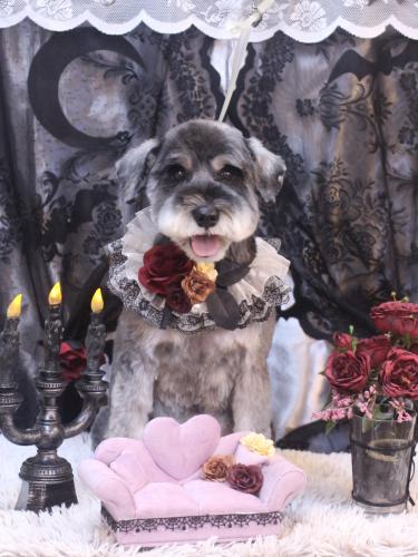 20231018じじくん